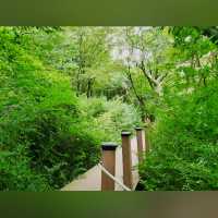Jeolmul Natural Recreation Forest