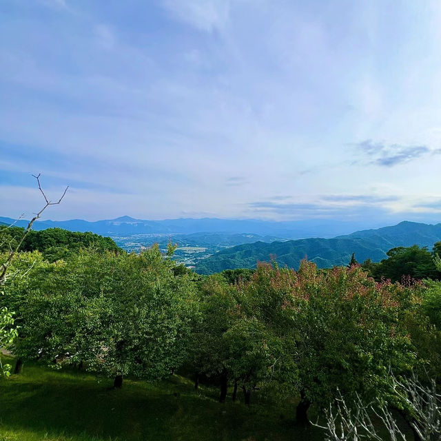 鶴仙溪：山水之美 🌄💧