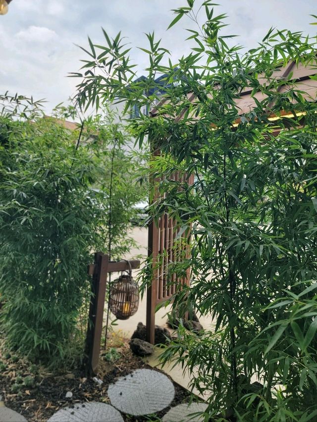 강릉 초당순두부마을에 새로 생긴 핫플🌽