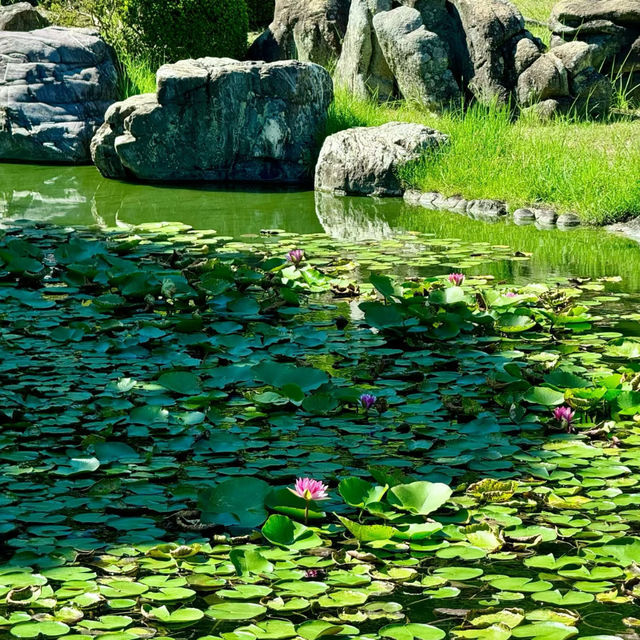 花田苑：鳥語花香的日本庭院夢🌸🐟