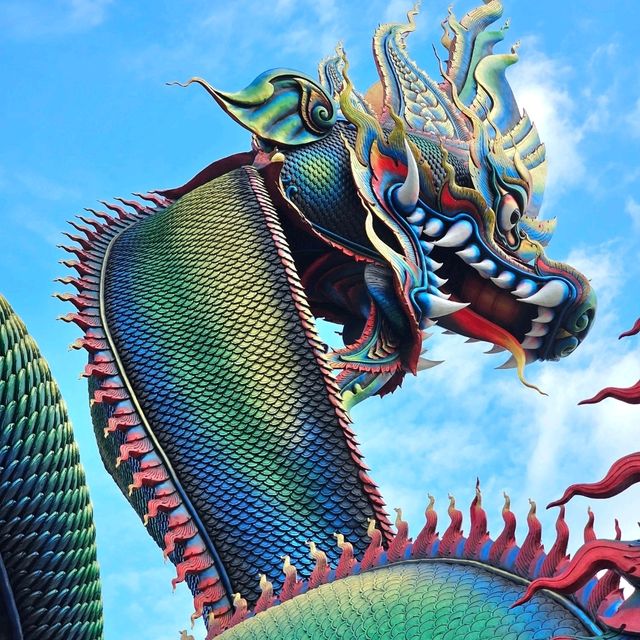 วัดถ้ำแจง🐉พญานาคใหญ่ที่สุดของไทย