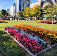北海道之旅-札幌市區自由行-大通公園/豐平館/札幌天文臺/計時台
