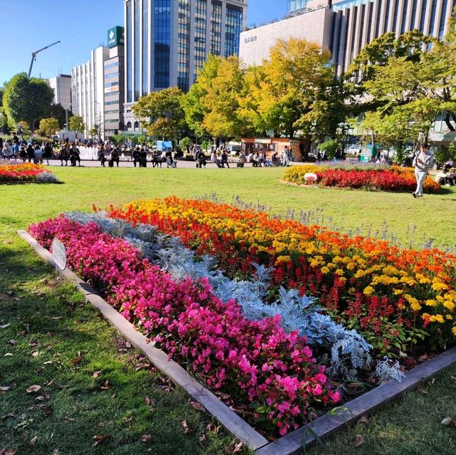 北海道之旅-札幌市區自由行-大通公園/豐平館/札幌天文臺/計時台