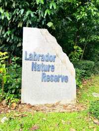 Exploring Forested Areas in Labrador Nature Reserve 