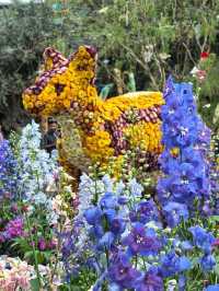 Australian Carnival of Flowers at Flower Dome