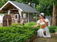 "บ้านสวนอบอวลรัก บ้านนา" ครบจบทั้ง ที่พัก คาเฟ่