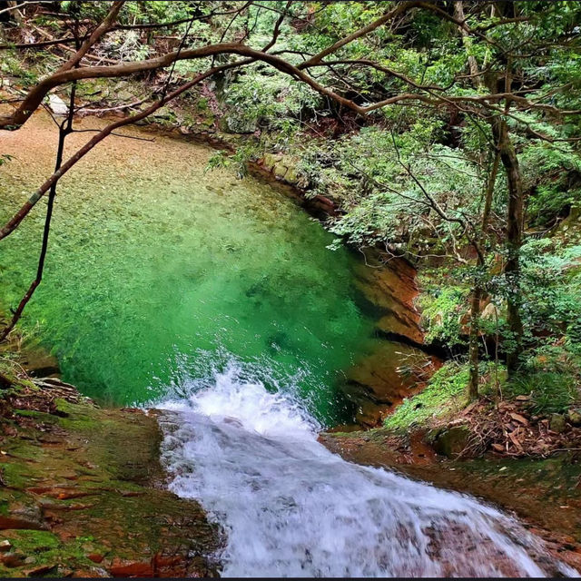 二丿岳：風光明媚⛰️🌿