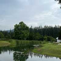 BUCOLIC KHAO YAI | คาเฟ่กลางหุบเขา✨🌳