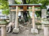 【長野県】珍しい三輪鳥居がある神社