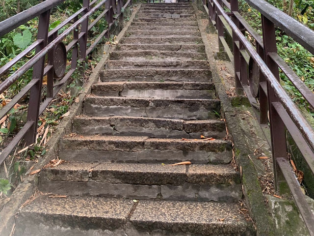 登高望遠象山行 台北美景盡收睛