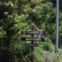 แม่แจ๋ม…ลำปาง 🌱✨ เมืองที่ไม่หมุนตามกาลเวลา 