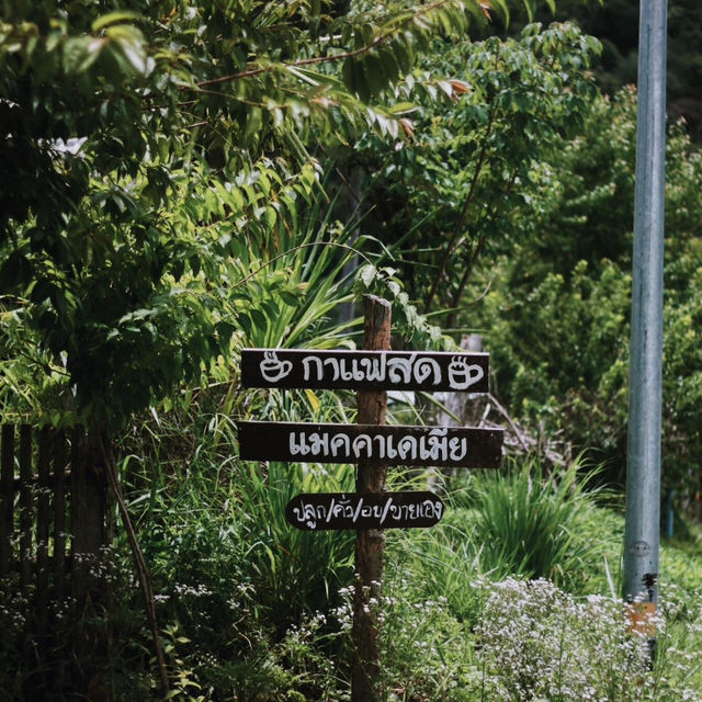 แม่แจ๋ม…ลำปาง 🌱✨ เมืองที่ไม่หมุนตามกาลเวลา 