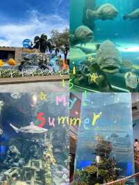 สถานแสดงพันธุ์สัตว์น้ำระยอง