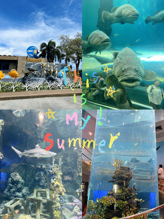 สถานแสดงพันธุ์สัตว์น้ำระยอง