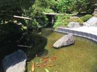 【鎌倉市】鎌倉にある竹林報国寺🎋