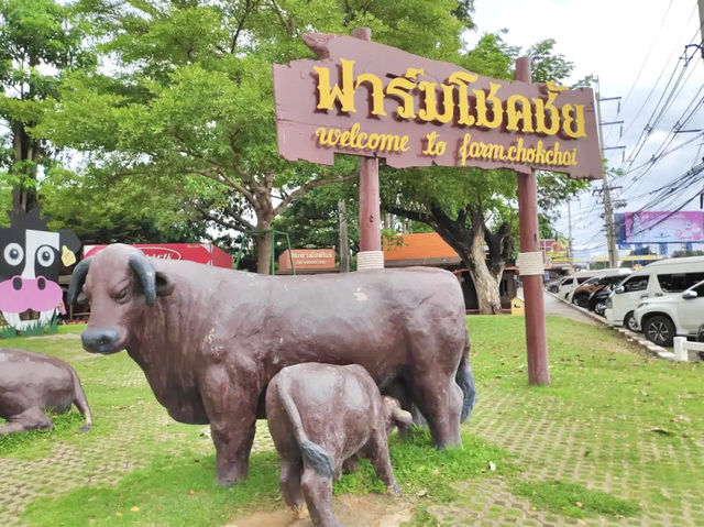 ฟาร์มโชคชัย จ.นครราชสีมา