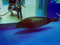 Xpark 水族館：最潮水族館景點