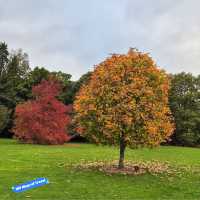 Exbury Gardens & Steam Railway Delight