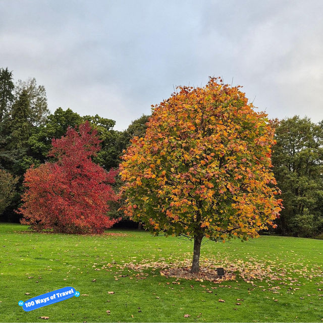 Exbury Gardens & Steam Railway Delight