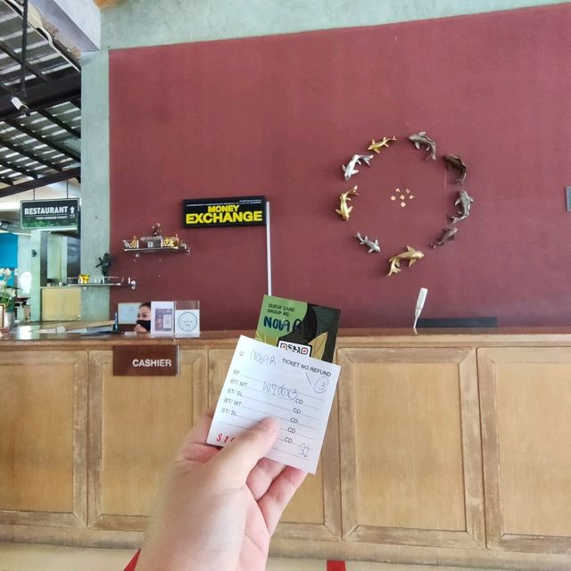 Tiger kingdom กับเหล่าแมวหางใหญ่ 🐯