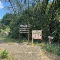 西貢郊野公園行山樂