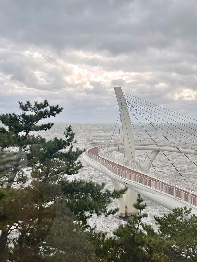 釜山旅行絕對不能錯過的天空膠囊小火車🤍