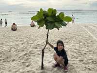 ชวนไปถ่ายรูปกับฝูงน้องห่านที่หาดเทียน