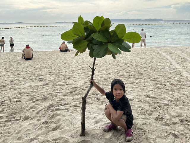 ชวนไปถ่ายรูปกับฝูงน้องห่านที่หาดเทียน