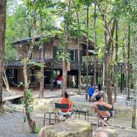  Into  the  wild คาเฟ่กลางป่า มีน้ำตกไหลผ่าน