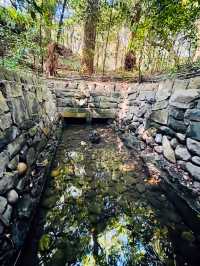 日本神話の聖地！熱田神宮で心が浄化される古き良き日本の美しさを体験⛩