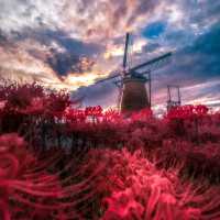 "Global Odyssey: Unforgettable Journeys with Travel Dudes"