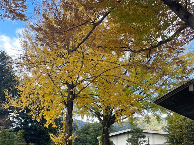 【上田市】真田氏の居城！歴史溢れる上田の城跡🏯