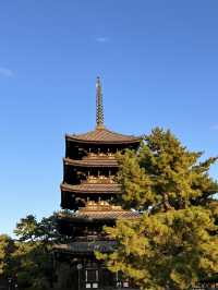 日本獨旅18天Day11 奈良