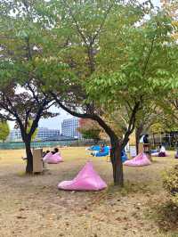 떠오르는 북캉스 명소인 서울 북촌 정독 도서관🌳💚
