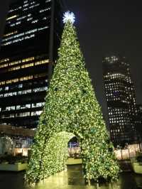 【バンクーバー🇨🇦】クリスマスを探しにお散歩へ🎅