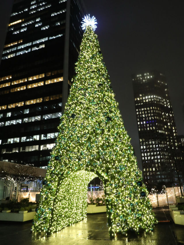 【バンクーバー🇨🇦】クリスマスを探しにお散歩へ🎅