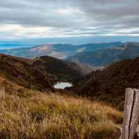 Vosges Mountains