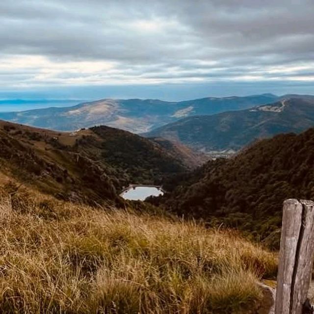 Vosges Mountains
