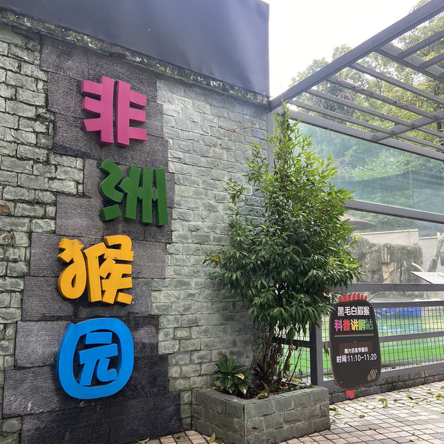 🐘🦍令人難忘的深圳野生動物園🦁