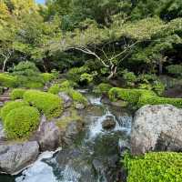 浮間公園：小橋流水🌸🏞️