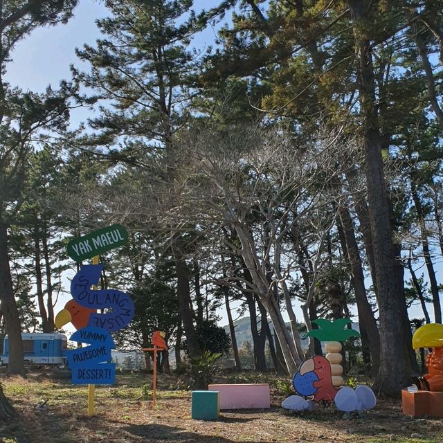 제주 No.1최애카페 서울앵무새 제주점