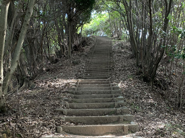 鋸山登山！