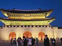 The almighty old gingko tree turns yellow at Gyeongbukgung