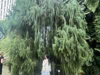 Eco Wonders: A Cloud Forest Expedition