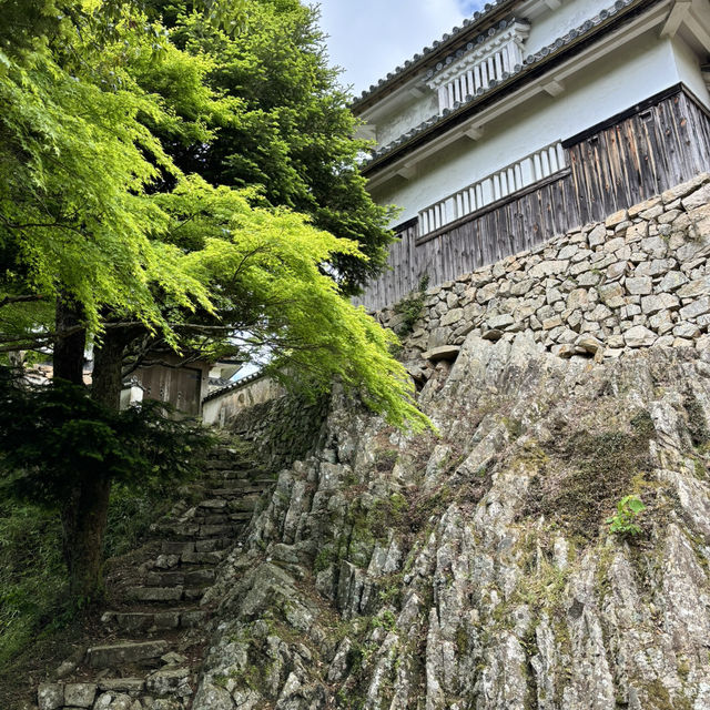 瀨戶內海單車旅行