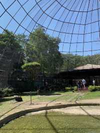 เที่ยวสวนสัตว์เขาใหญ่ Bonunza Exotic Zoo!