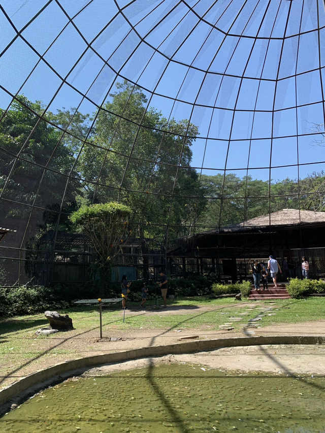เที่ยวสวนสัตว์เขาใหญ่ Bonunza Exotic Zoo!