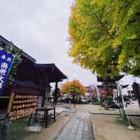 Hida Kokubunji Temple