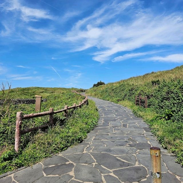 Beautiful Trail