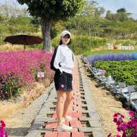 วังน้ำเขียว…วันเดียวก้อฟินได้